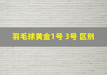 羽毛球黄金1号 3号 区别